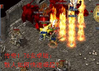 1.76׿棺ɢο