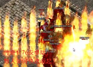 1.76׿棺ɢο
