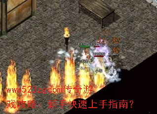 www523zgcomϷԣָֿϣ