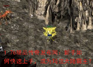 1.76Ʒ淢ο֣Ϊ귨½