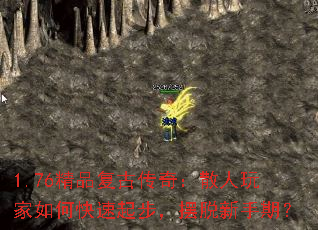 1.76ƷŴ棺ɢο𲽣ڣ