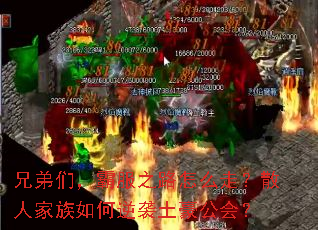 ֵǣԷ֮·ôߣɢ˼Ϯ᣿