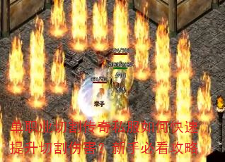 ְҵи˽οи˺ֱؿ