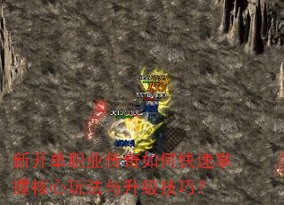 ¿ְҵοպ淨ɣ