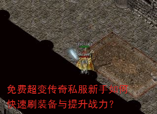 ѳ䴫˽οˢװս