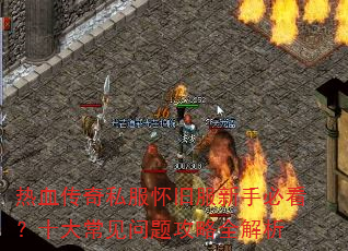 Ѫ˽ɷֱؿʮ󳣼⹥ȫ
