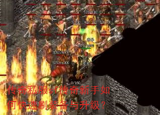 ˽sfοˢװ