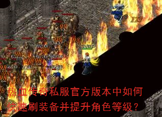 Ѫ˽ٷ汾οˢװɫȼ