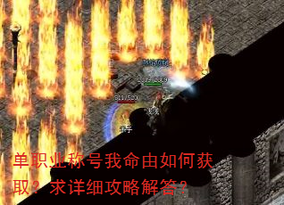 ְҵƺλȡϸԽ