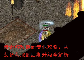 Ϸרҵԣװȡȫ