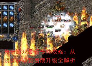 Ϸרҵԣװȡȫ
