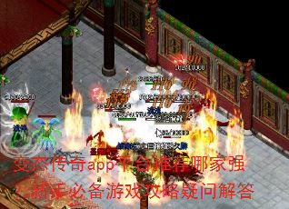 ̬appƽ̨ƼļǿֱرϷʽ