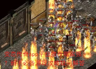 ̬appƽ̨ƼļǿֱرϷʽ