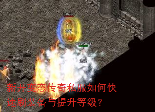 ¿̬˽οˢװȼ