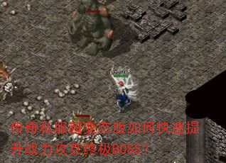 ˽̬οսռBOSS
