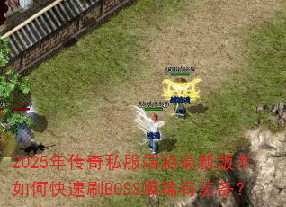 2025괫˽°汾οˢBOSSϡװ