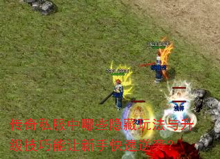 传奇私服中哪些隐藏玩法与升级技巧能让新手快速逆袭? 传奇私服中哪些隐藏玩法与升级技巧能让新手快速逆袭?
