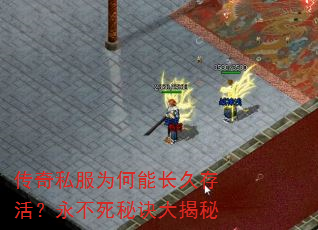 传奇私服为何能长久存活?永不死秘诀大揭秘 传奇私服为何能长久存活?永不死秘诀大揭秘