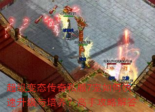 超级变态传奇私服7宠如何快速升级与培养?高手攻略解答 超级变态传奇私服7宠如何快速升级与培养?高手攻略解答