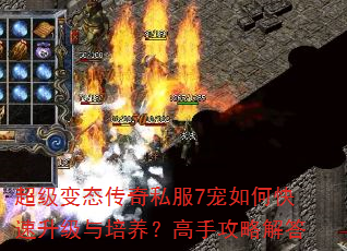 超级变态传奇私服7宠如何快速升级与培养?高手攻略解答 超级变态传奇私服7宠如何快速升级与培养?高手攻略解答