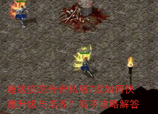 超级变态传奇私服7宠如何快速升级与培养?高手攻略解答 超级变态传奇私服7宠如何快速升级与培养?高手攻略解答
