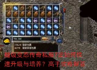 超级变态传奇私服7宠如何快速升级与培养?高手攻略解答 超级变态传奇私服7宠如何快速升级与培养?高手攻略解答