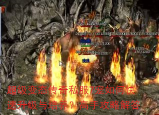 超级变态传奇私服7宠如何快速升级与培养?高手攻略解答 超级变态传奇私服7宠如何快速升级与培养?高手攻略解答