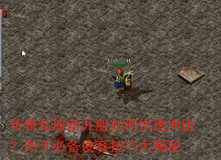 传奇私服新开服如何快速冲级?高手必备发育技巧大揭秘 传奇私服新开服如何快速冲级?高手必备发育技巧大揭秘