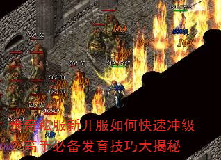 传奇私服新开服如何快速冲级?高手必备发育技巧大揭秘 传奇私服新开服如何快速冲级?高手必备发育技巧大揭秘