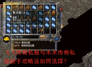 飞飞传奇私服与木木传奇私服新手攻略该如何选择? 飞飞传奇私服与木木传奇私服新手攻略该如何选择?