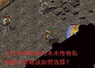 飞飞传奇私服与木木传奇私服新手攻略该如何选择? 飞飞传奇私服与木木传奇私服新手攻略该如何选择?