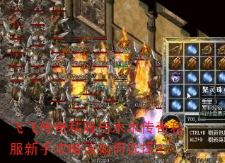 飞飞传奇私服与木木传奇私服新手攻略该如何选择? 飞飞传奇私服与木木传奇私服新手攻略该如何选择?