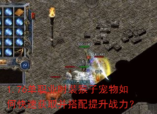 1.76ְҵʱװӳοٻȡս