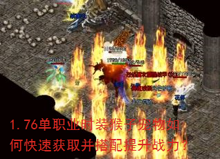 1.76ְҵʱװӳοٻȡս