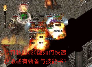 ˽020οٻȡϡװ뼼飿