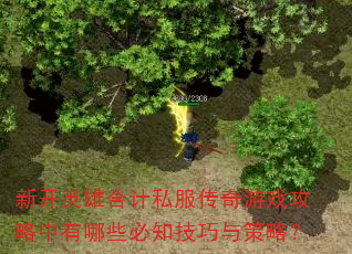 新开英雄合计私服传奇游戏攻略中有哪些必知技巧与策略? 新开英雄合计私服传奇游戏攻略中有哪些必知技巧与策略?