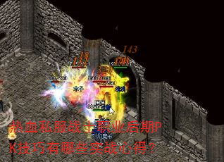 热血私服战士职业后期PK技巧有哪些实战心得? 热血私服战士职业后期PK技巧有哪些实战心得?