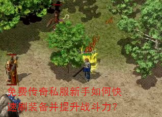 免费传奇私服新手如何快速刷装备并提升战斗力? 免费传奇私服新手如何快速刷装备并提升战斗力?