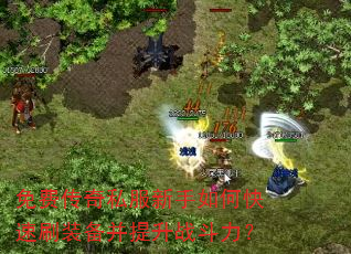 免费传奇私服新手如何快速刷装备并提升战斗力? 免费传奇私服新手如何快速刷装备并提升战斗力?