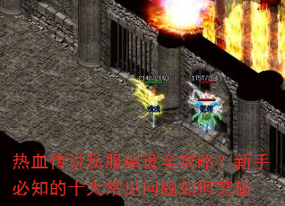 Ѫ˵˽ȫԣֱ֪ʮ󳣼ͻ