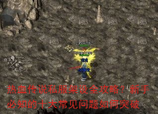 Ѫ˵˽ȫԣֱ֪ʮ󳣼ͻ