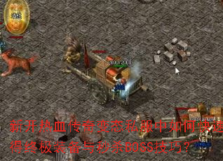 ¿Ѫ̬˽οٻռװɱBOSSɣ