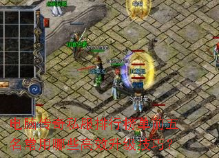 电脑传奇私服排行榜单前五名常用哪些高效升级技巧? 电脑传奇私服排行榜单前五名常用哪些高效升级技巧?