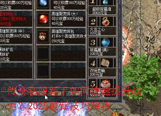 传奇私服新手如何快速提升战力?2025最新技巧解析 传奇私服新手如何快速提升战力?2025最新技巧解析