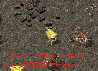 ���渴�Ŵ���������غ���ο��ٻ�ö���װ���뼼�ܣ�