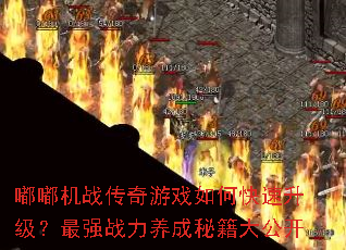 嘟嘟机战传奇游戏如何快速升级?最强战力养成秘籍大公开 嘟嘟机战传奇游戏如何快速升级?最强战力养成秘籍大公开