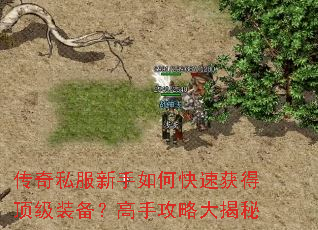 ����˽��������ο��ٻ�ö���װ�������ֹ��Դ����