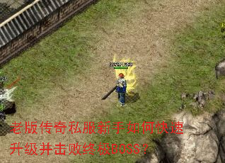 �ϰ洫��˽��������ο��������������ռ�BOSS��