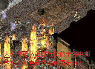 大型传奇私服排行榜前十名中哪些职业组合能快速制霸全服? 大型传奇私服排行榜前十名中哪些职业组合能快速制霸全服?