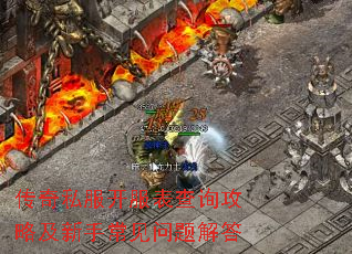 ����˽����������ѯ���Լ����ֳ���������